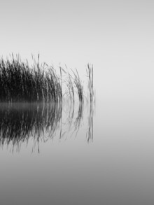 Holger Nimtz, still morning at the lake