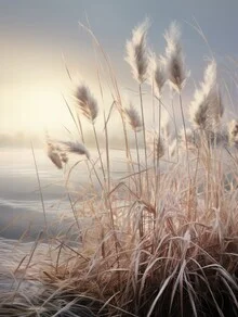 Photo art by Melanie Viola: Pampas grass over gentle dunes, a calm nature shot.