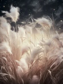 Photo art by Melanie Viola: delicate pampas grass plumes under a starry sky.