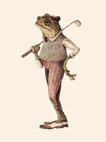 Illustration of a frog on a swing in a lively, child-friendly style.