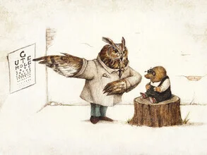 Illustration von Mike Koubou: eine Eule als Augenarzt in einem freundlichen, bunten Stil.