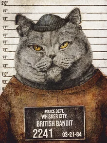 Illustration of a British bandit: a playful cat in a vintage style