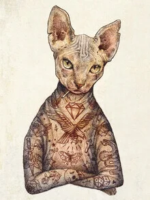 Illustration of a Sphynx cat with soft colors and a playful style