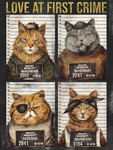 Illustration by Mike Koubou: cat in vintage style as a funny mugshot