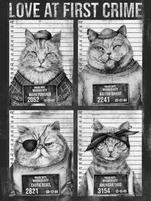 Illustration by Mike Koubou: playful cat mugshots in retro style
