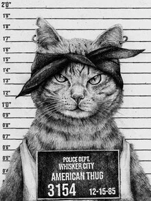 Illustration by Mike Koubou: stylized depiction of an American cat