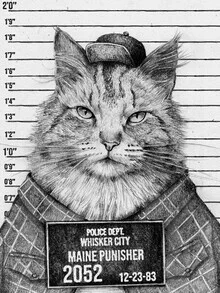 Illustration by Mike Koubou: colorful Maine Coon in a retro style