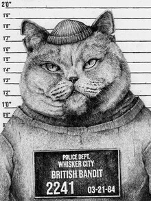 Illustration of a British bandit with a mischievous expression in a charming style.