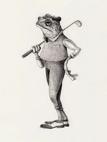 Illustration of a swinging frog in a calming, retro style.
