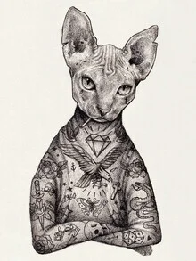 Illustration of a Sphynx: stylish cat in retro design with nautical elements
