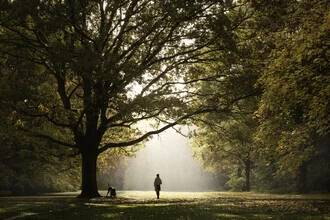 Photo art by Tillmann Konrad: calming autumn park with gentle light rays