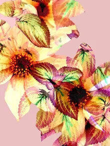 Wall art by Uma Gokhale: colorful flowers in a cheerful composition