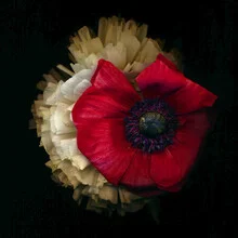 Wunderschönes Porträt von Michelle, umgeben von bunten Blumen und Hüten.