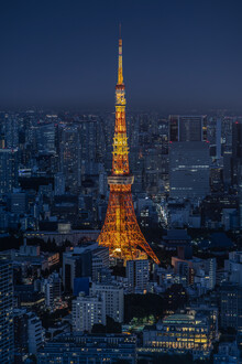 Michael Jurek, Tokyo Tower