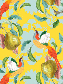 Uma Gokhale, Tropical Mindset