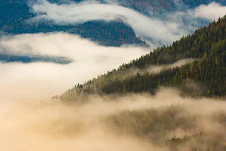 Fotokunst von Martin Wasilewski: Nebel umhüllt einen ruhigen Wald in Bayern.