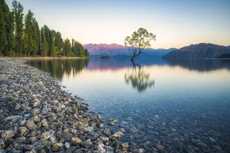 Fotokunst von Jean Claude Castor: Baum im See mit Bergen im Hintergrund und ruhigem Wasser