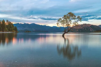 Neuseeland Wanaka Tree am Abend, ruhige Atmosphäre am Seeufer mit sanften Reflexionen.