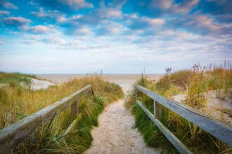 Path gently leads to the beach, surrounded by grass and dunes, in a calm, harmonious atmosphere.