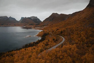 Photo art by Tobias Winkelmann: Autumn street in Lofoten gently fading into the mist.
