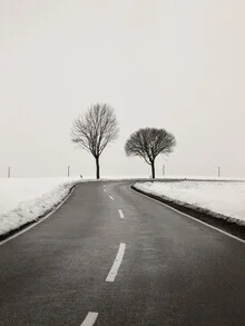 Winter road surrounded by snow-covered trees in a calm atmosphere