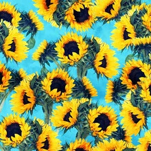 Illustration by Uma Gokhale: colorful sunflowers under a blue sky