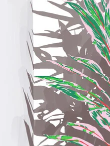 Illustration by Uma Gokhale: plants with shadows in soft pastel tones
