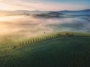 Aerial view of Tuscany: gentle hills and cypress trees in morning fog