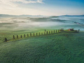 Aerial view of a cypress avenue in Tuscany during the first light