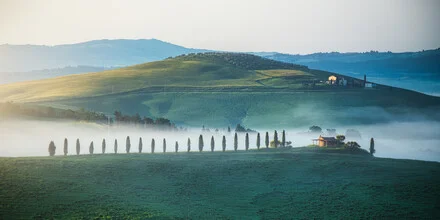 Photo art by Jean Claude Castor: cypress avenue in Tuscany shrouded in mist, calm atmosphere.