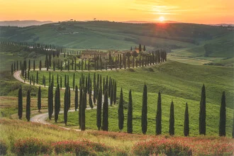 Photo art by Jean Claude Castor: gentle sunset over cypress avenue in Tuscany