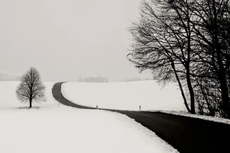 Photo art by Lena Weisbek: serene country road surrounded by snow-covered trees