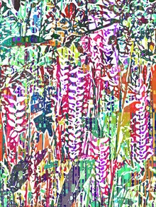 Vibrant photo art featuring tropical plants and a bohemian style in a forest.