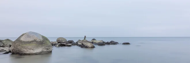 Photo art featuring a calm Baltic Sea view with a cormorant on a stone