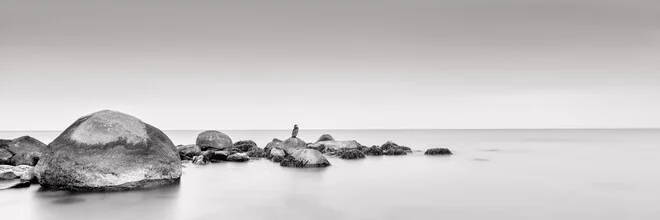 Photo art by Dennis Wehrmann: serene coastal landscape featuring a cormorant.