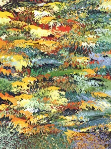 Illustration by Uma Gokhale: colorful botanical plants in an autumn forest