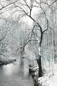 Photo art by Lena Weisbek: calm winter landscape at Amper River with snow-covered tree