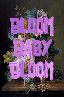 Wall art by Jonas Loose: colorful flowers with a playful quote