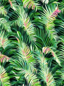 Wall art featuring lush palms and soft colors, creating a calming summer vibe.
