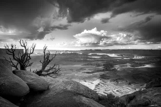 Black and white photo art by Christoph Schaarschmidt: view of Canyonlands in the USA