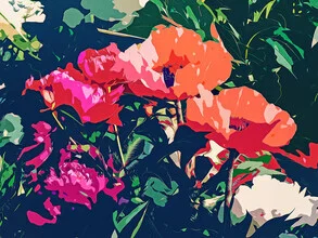 Illustration by Uma Gokhale: dark floral elements in a mysterious garden.