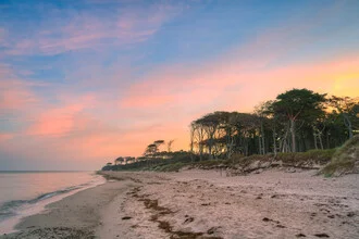 Photo art by Michael Valjak: calm Darß forest by the Baltic Sea with soft lighting