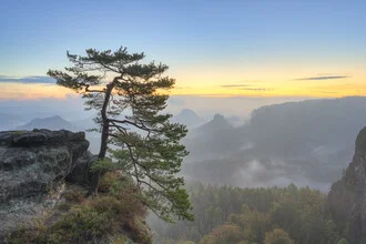 Fotokunst von Michael Valjak: Morgendämmerung in der Sächsischen Schweiz mit Nebelschwaden