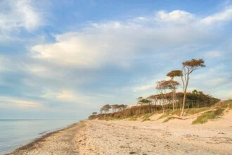 Photo art by Michael Valjak: serene beach with gentle waves and forest in the background