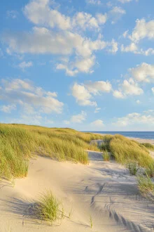 Dunes on Sylt in the evening with soft lines and warm colors