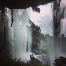 Photo art by Delia Kämmerer: waterfall surrounded by trees in Uganda