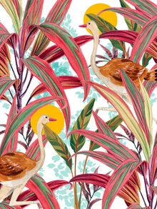 Wall art by Uma Gokhale: colorful bird illustration in a botanical landscape