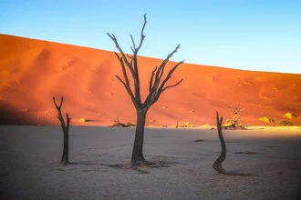 Photo art by Jean Claude Castor: captivating silhouettes in morning light in the Namib Desert