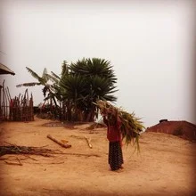 Girl carrying wood in a tropical setting with a banana tree in the background.