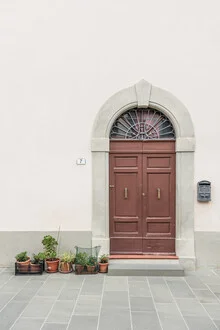 Wunderschöne Fotokunst: grüne Pflanzen vor einer rustikalen Tür in Italien.